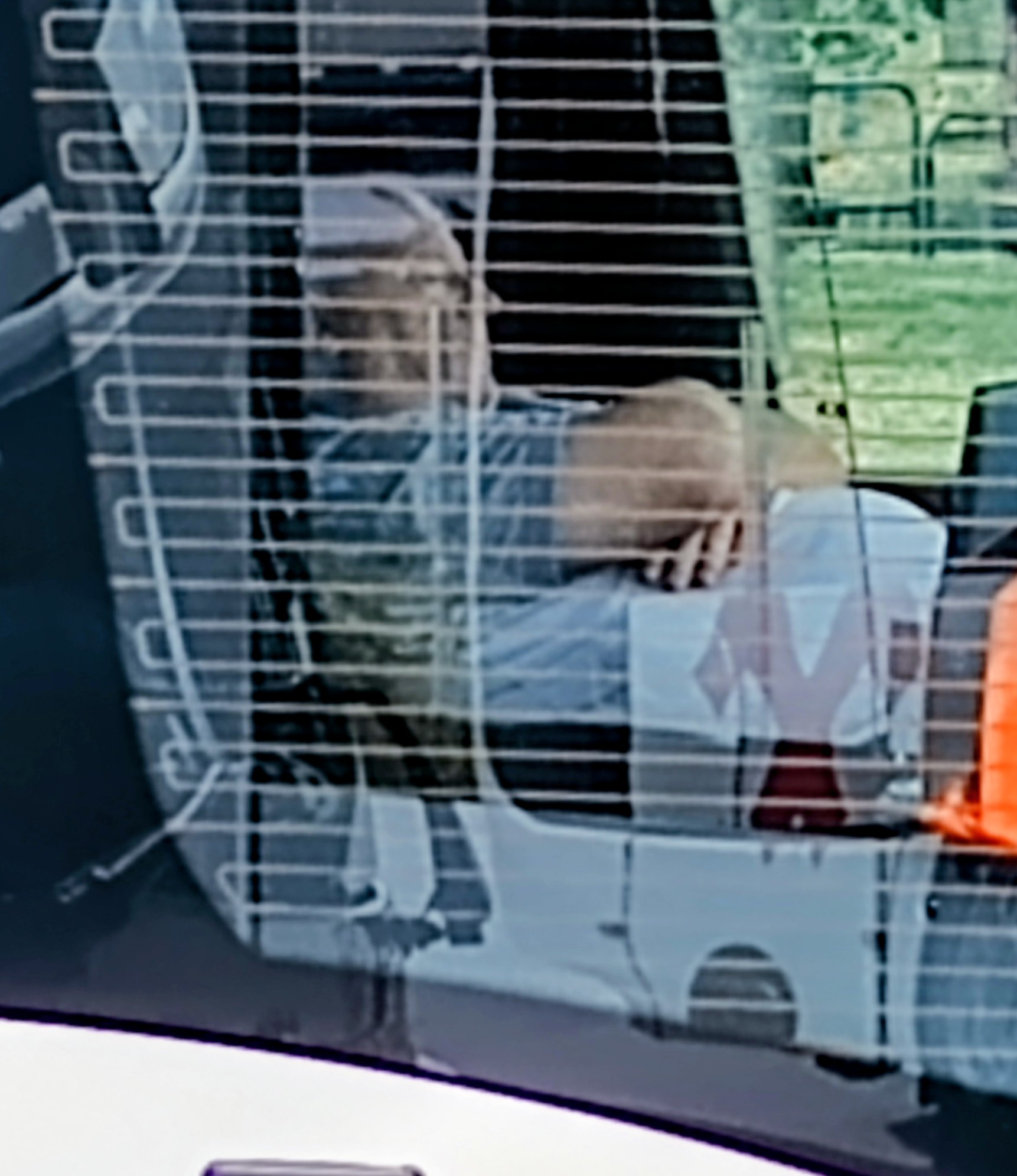 Tvrdě vydělané peníze