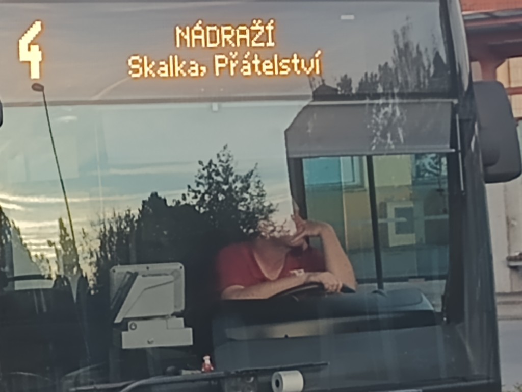 Zamyšlení